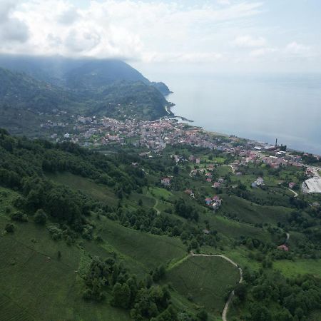 Oksijen Suit Artvin Exterior foto